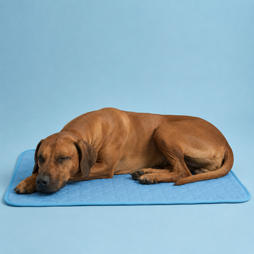 Tapis Fraîcheur