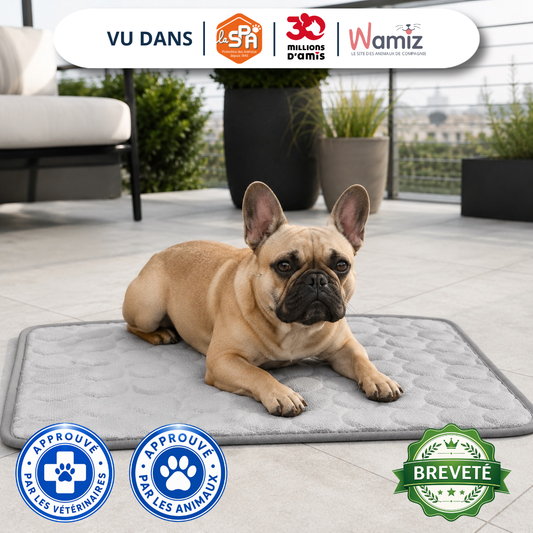 Tapis Fraîcheur