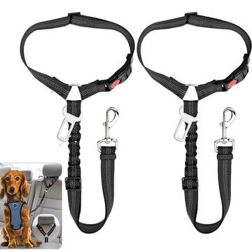 Ceinture de Sécurité Premium
