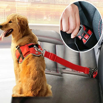 Ceinture de Sécurité Anti-Choc