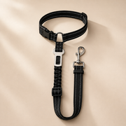 Ceinture de Sécurité Premium