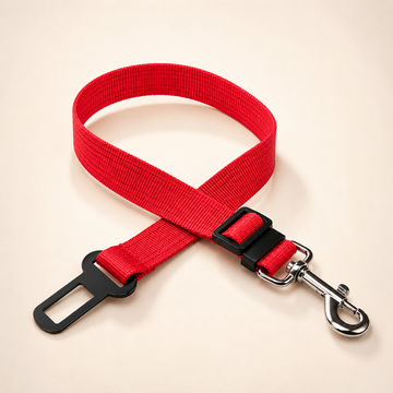 Ceinture de Sécurité Anti-Choc
